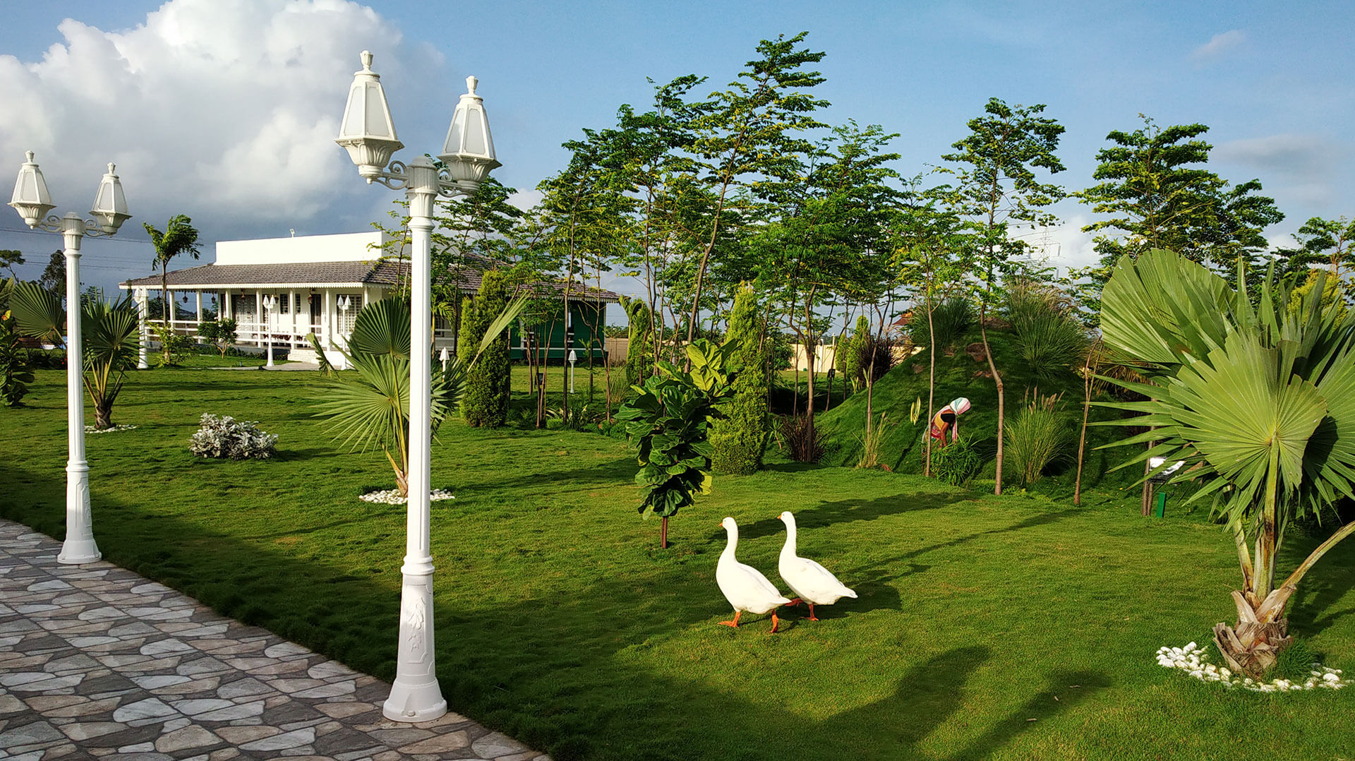 Prime Gardener Best Nursery in Pune3