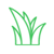 Grass Sod