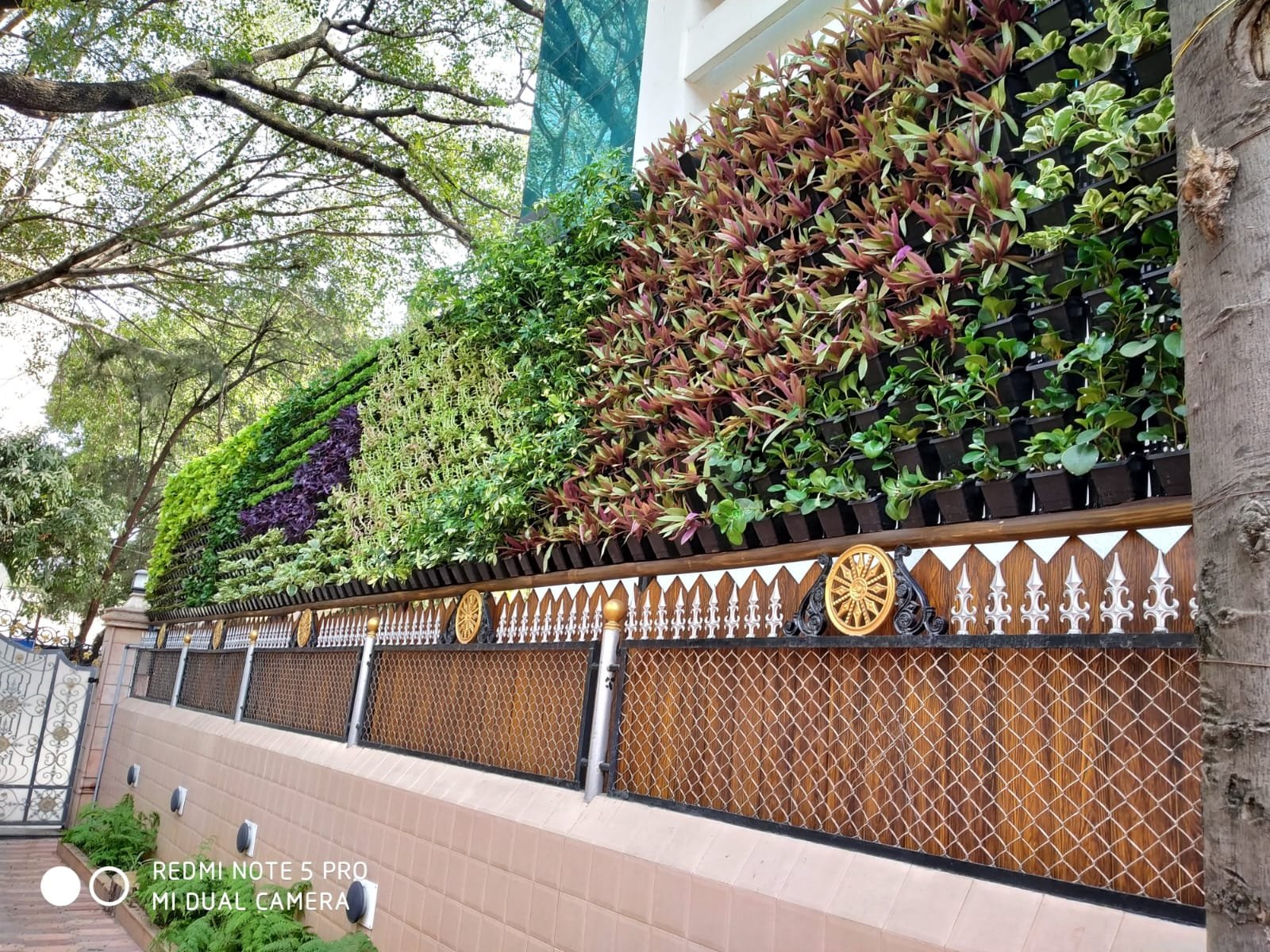 Garden bridge with decorative mushrooms