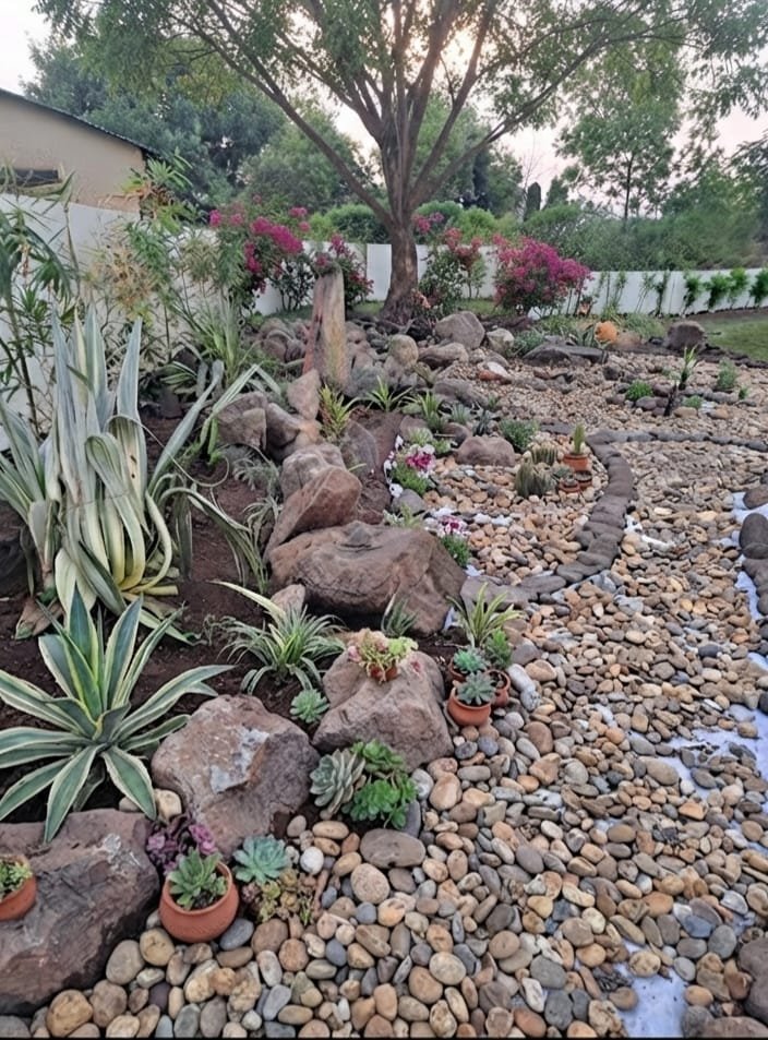Rock garden with stone pathway